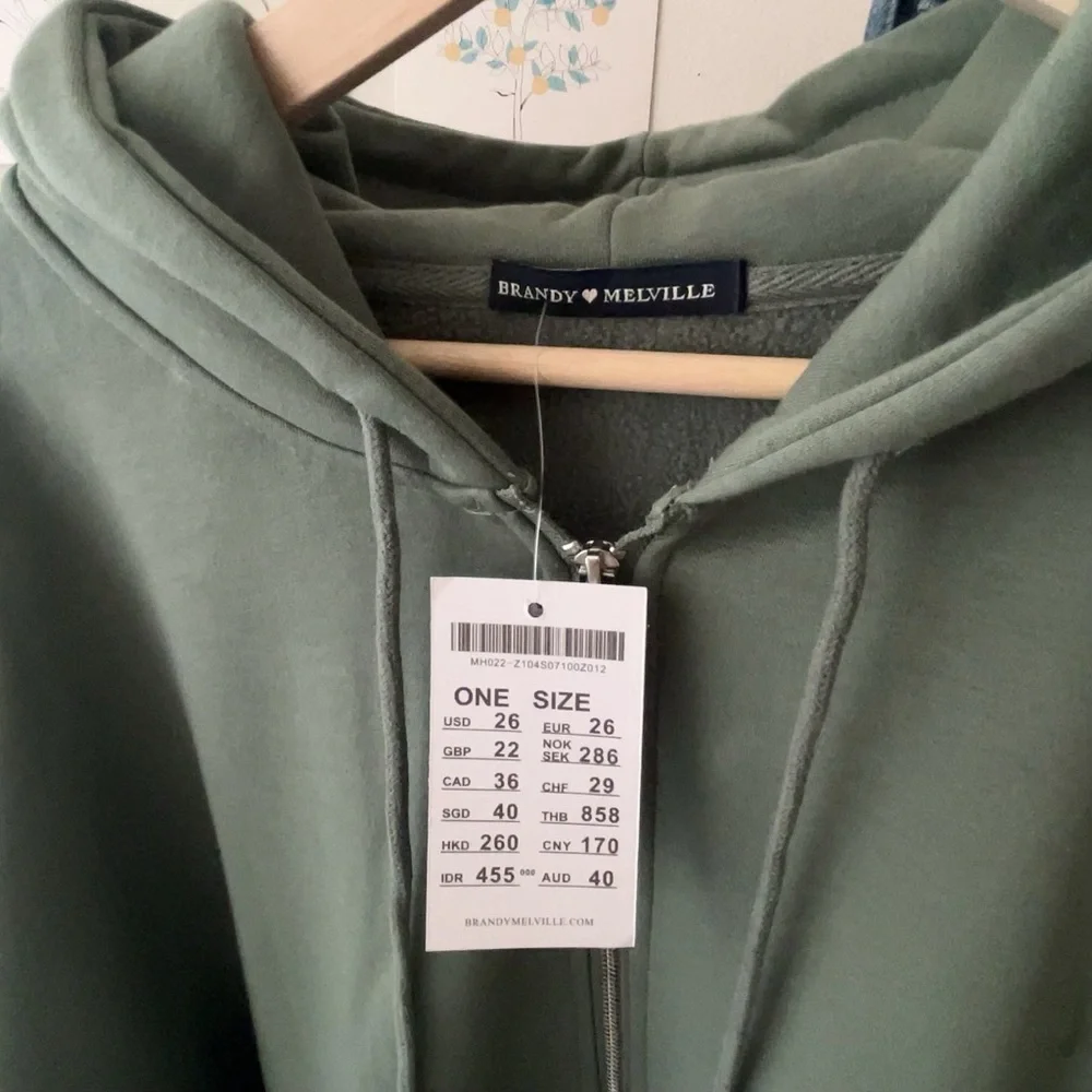 ｛Brandy❤️Melville｝Brand New Christy Hoodie/onesized fit, zip-up - Picture 5 of 10